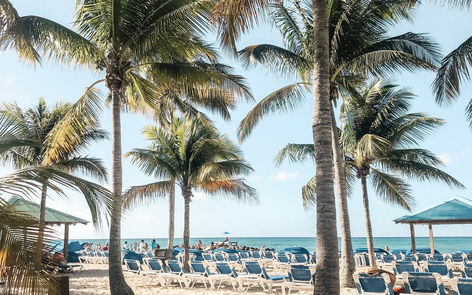Playa real de Nassau, Bahamas, con palmeras frente al mar