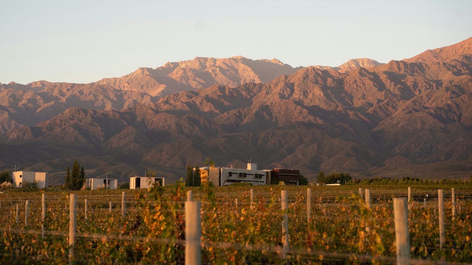 Viñedos y montañas de Mendoza, Argentina