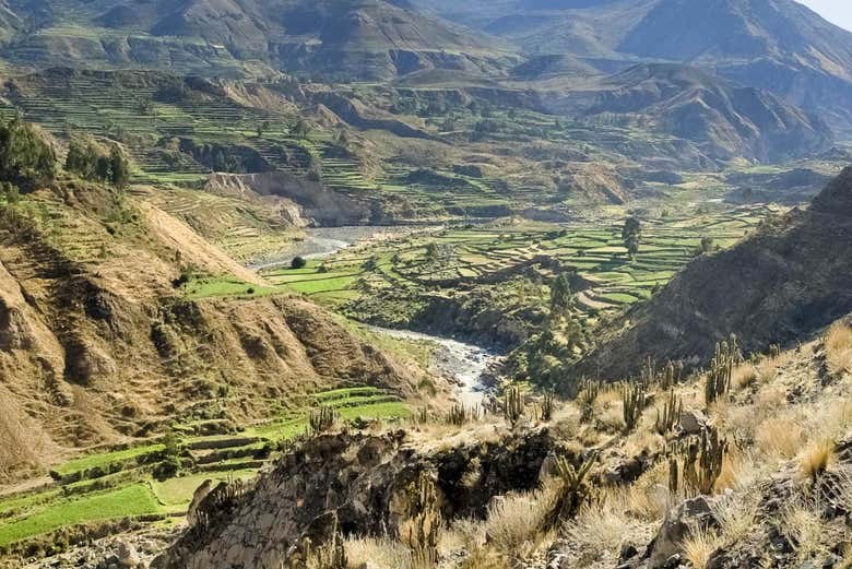 Paisaje del Cañón del Colca