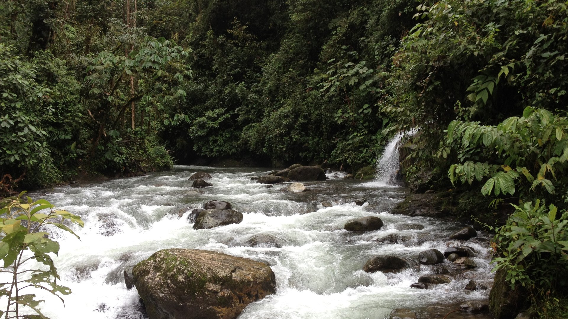 Río y cascada entre la vegetación de Mindo-Nambillo