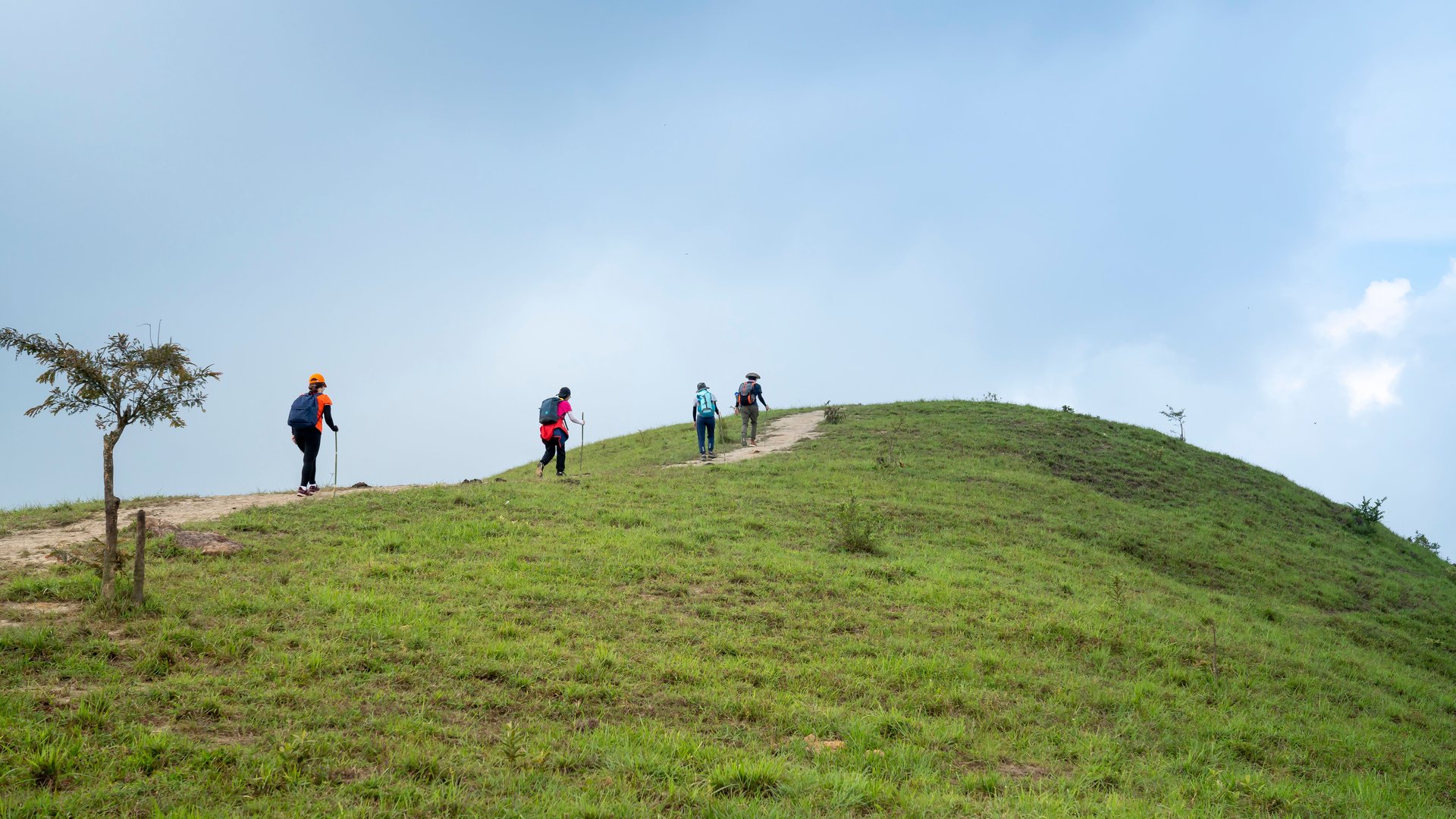 Grupo de viajeros caminando por una colina verde