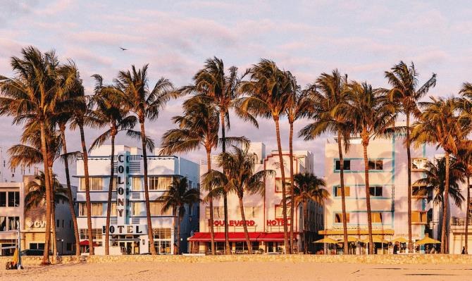Arquitectura y palmeras de Miami Beach
