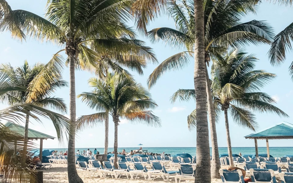 Playa real de Nassau, Bahamas, con palmeras frente al mar