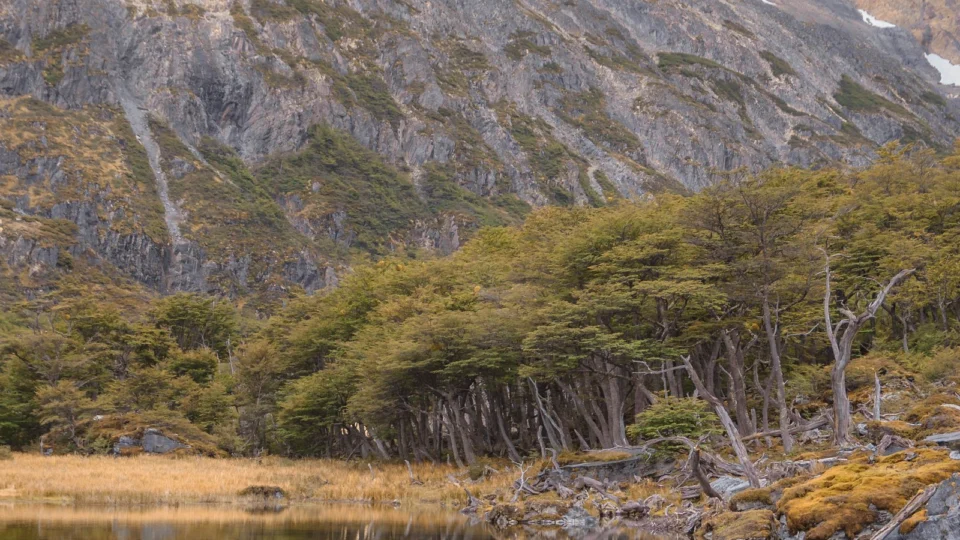 Lago, bosque y montañas en Ushuaia, Tierra del Fuego